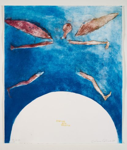 Carmina Burana Giuliano Collina